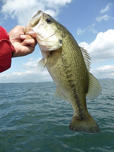 truth news ブログ写真 2014/05/21