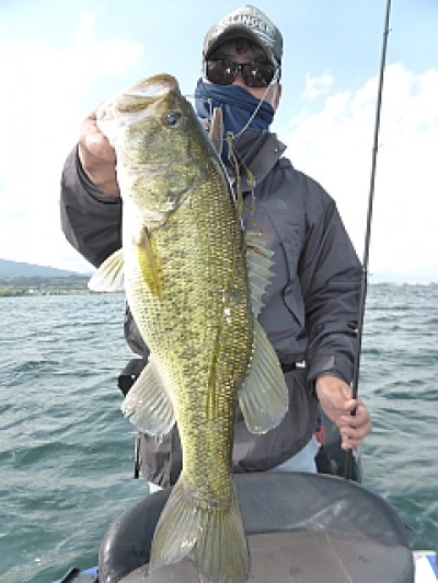 truth news ブログ写真 2014/05/21