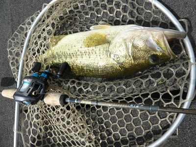 truth news ブログ写真 2014/05/22