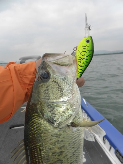 truth news ブログ写真 2014/05/22