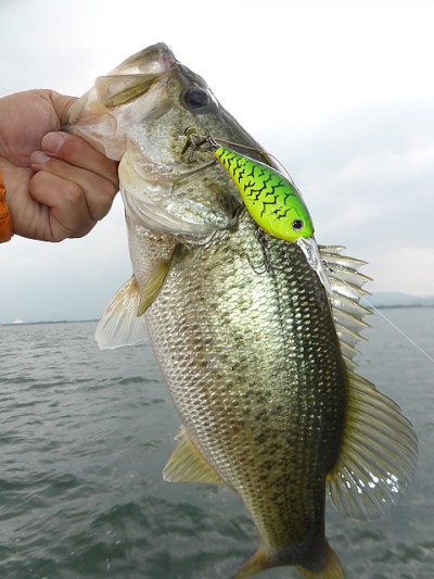 truth news ブログ写真 2014/05/22