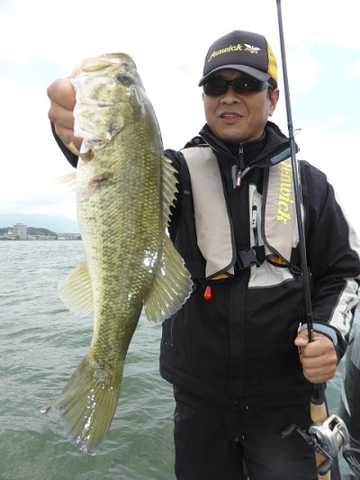 truth news ブログ写真 2014/05/22