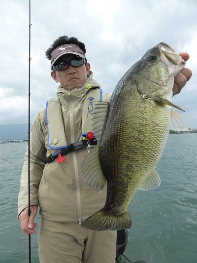 truth news ブログ写真 2014/05/22