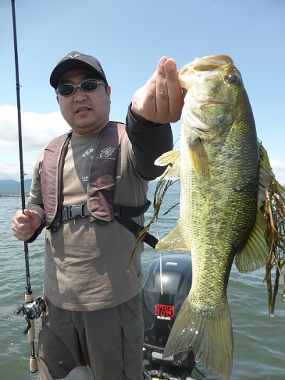 truth news ブログ写真 2014/05/23