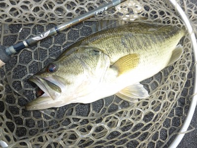 truth news ブログ写真 2014/05/23