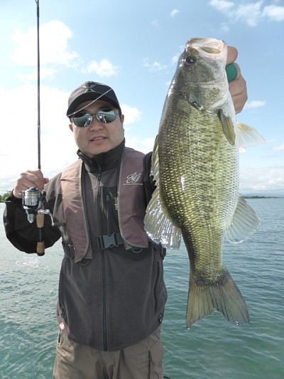 truth news ブログ写真 2014/05/23