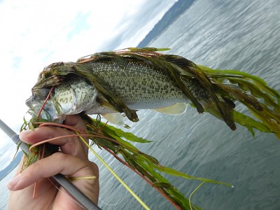 truth news ブログ写真 2014/05/23