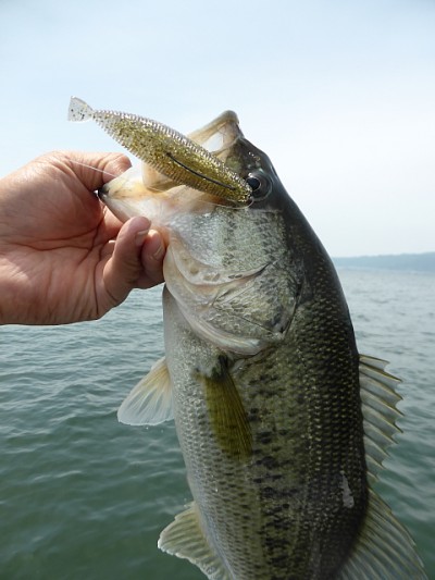 truth news ブログ写真 2014/05/24