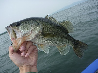 truth news ブログ写真 2014/05/25