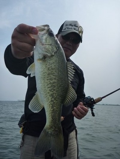 truth news ブログ写真 2014/05/25