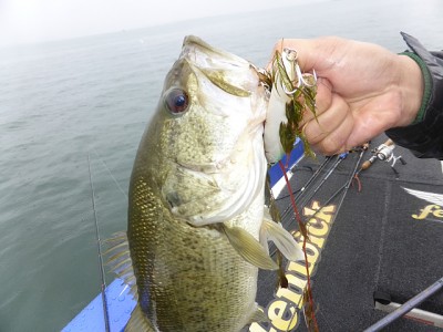 truth news ブログ写真 2014/05/26