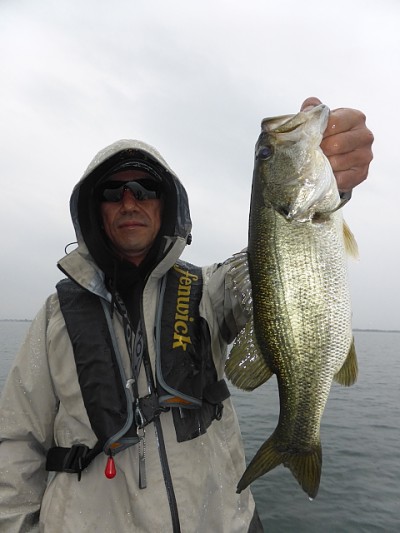 truth news ブログ写真 2014/05/26