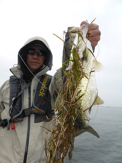 truth news ブログ写真 2014/05/26