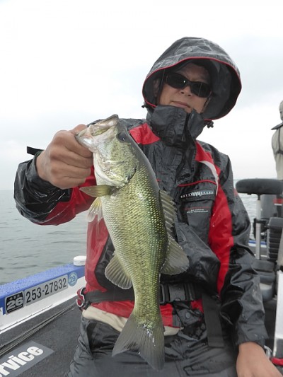 truth news ブログ写真 2014/05/26