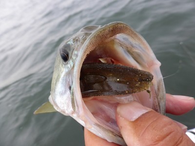 truth news ブログ写真 2014/05/26