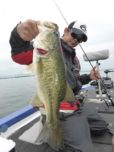 truth news ブログ写真 2014/05/26