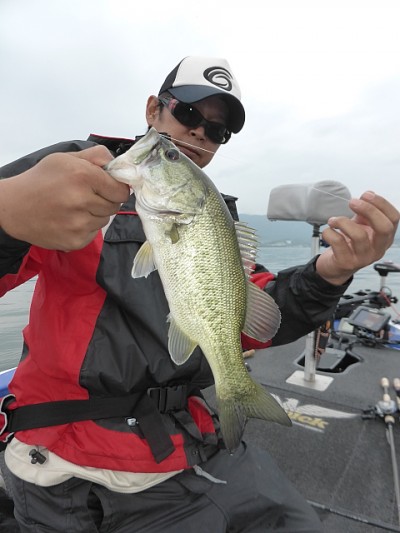 truth news ブログ写真 2014/05/26