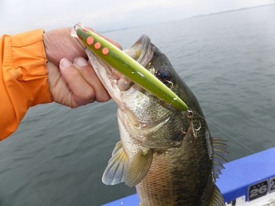 truth news ブログ写真 2014/05/26