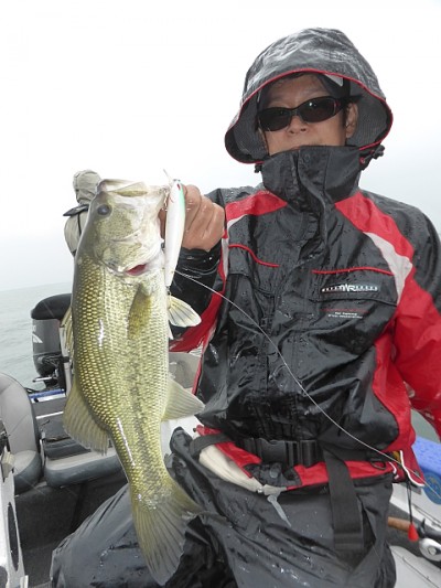 truth news ブログ写真 2014/05/26