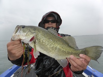 truth news ブログ写真 2014/05/26