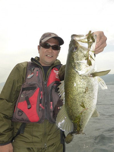 truth news ブログ写真 2014/05/27