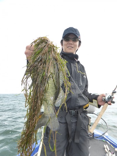 truth news ブログ写真 2014/05/27