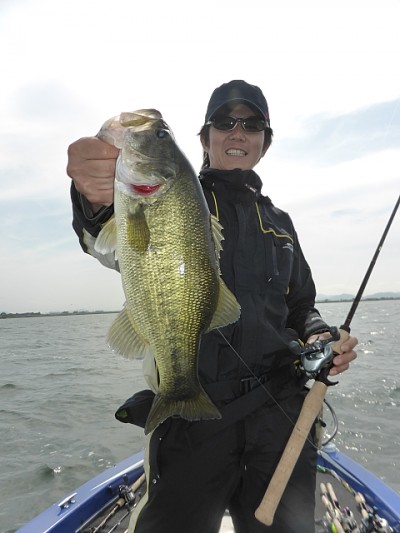 truth news ブログ写真 2014/05/27