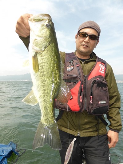 truth news ブログ写真 2014/05/27