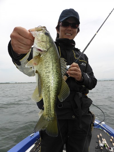 truth news ブログ写真 2014/05/27