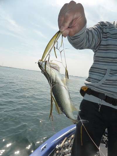 truth news ブログ写真 2014/05/28