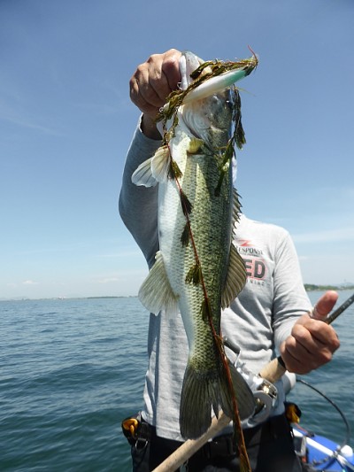 truth news ブログ写真 2014/05/28