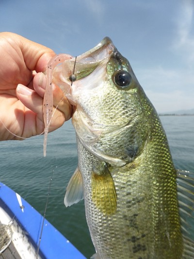 truth news ブログ写真 2014/05/28