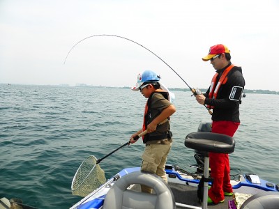 truth news ブログ写真 2014/06/02