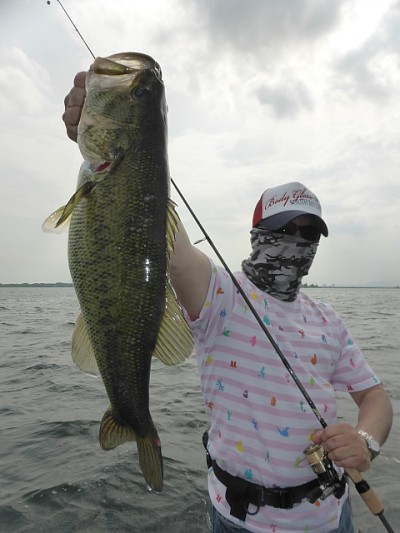 truth news ブログ写真 2014/06/04