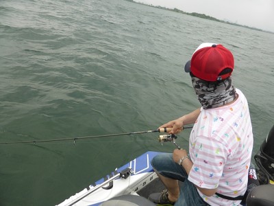 truth news ブログ写真 2014/06/04