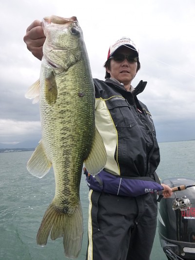 truth news ブログ写真 2014/06/05