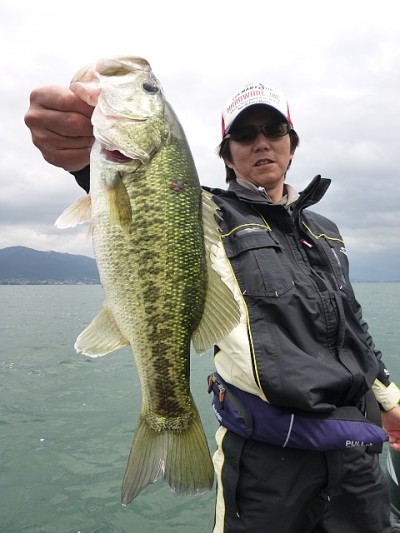 truth news ブログ写真 2014/06/05