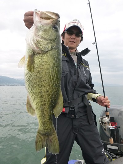 truth news ブログ写真 2014/06/05