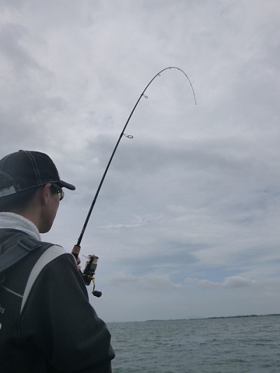 truth news ブログ写真 2014/06/06