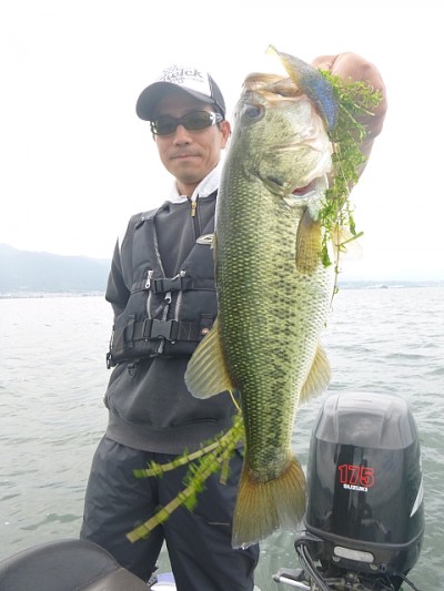 truth news ブログ写真 2014/06/06