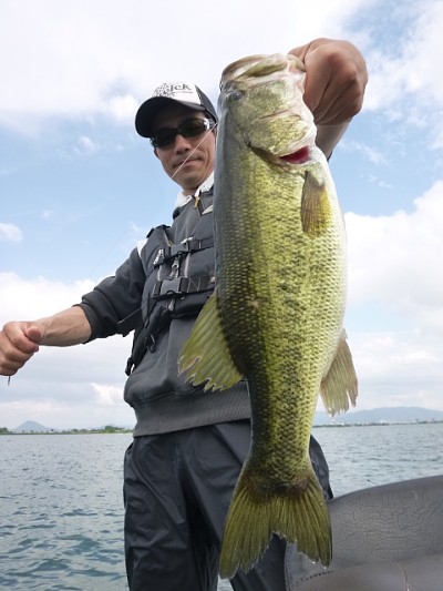 truth news ブログ写真 2014/06/06