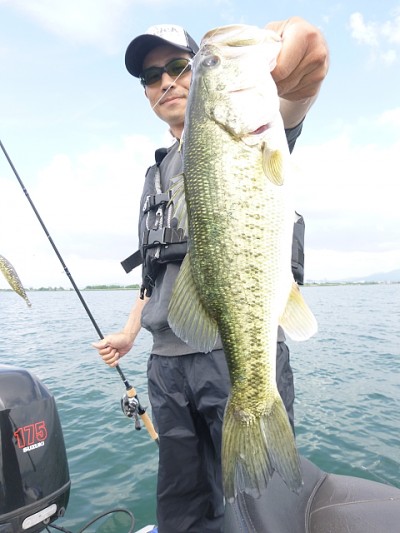 truth news ブログ写真 2014/06/06