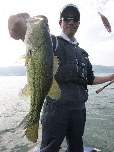 truth news ブログ写真 2014/06/06