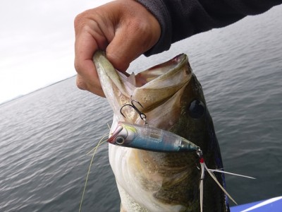 truth news ブログ写真 2014/06/06