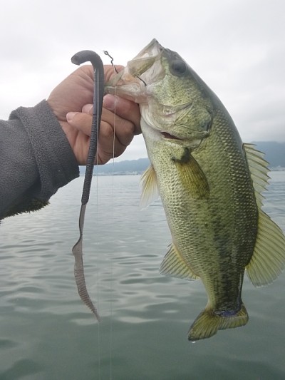 truth news ブログ写真 2014/06/06