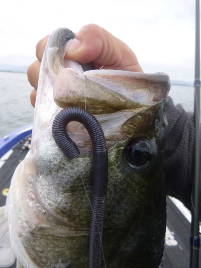 truth news ブログ写真 2014/06/06