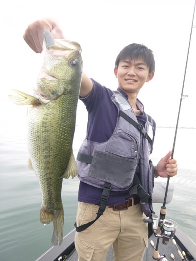 truth news ブログ写真 2014/06/07