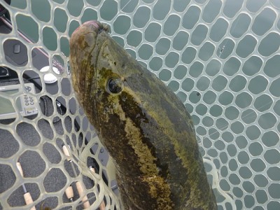 truth news ブログ写真 2014/06/07