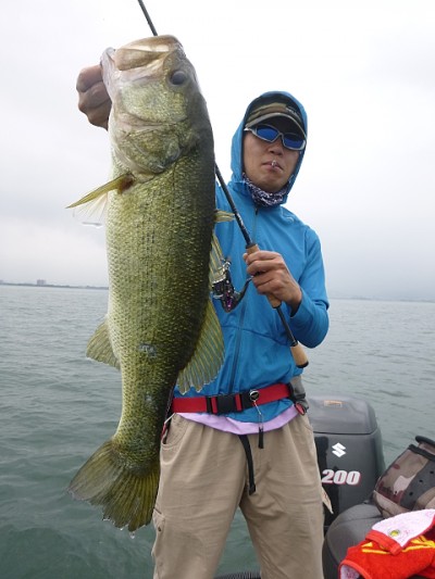 truth news ブログ写真 2014/06/07