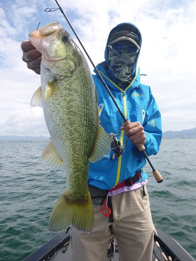 truth news ブログ写真 2014/06/07